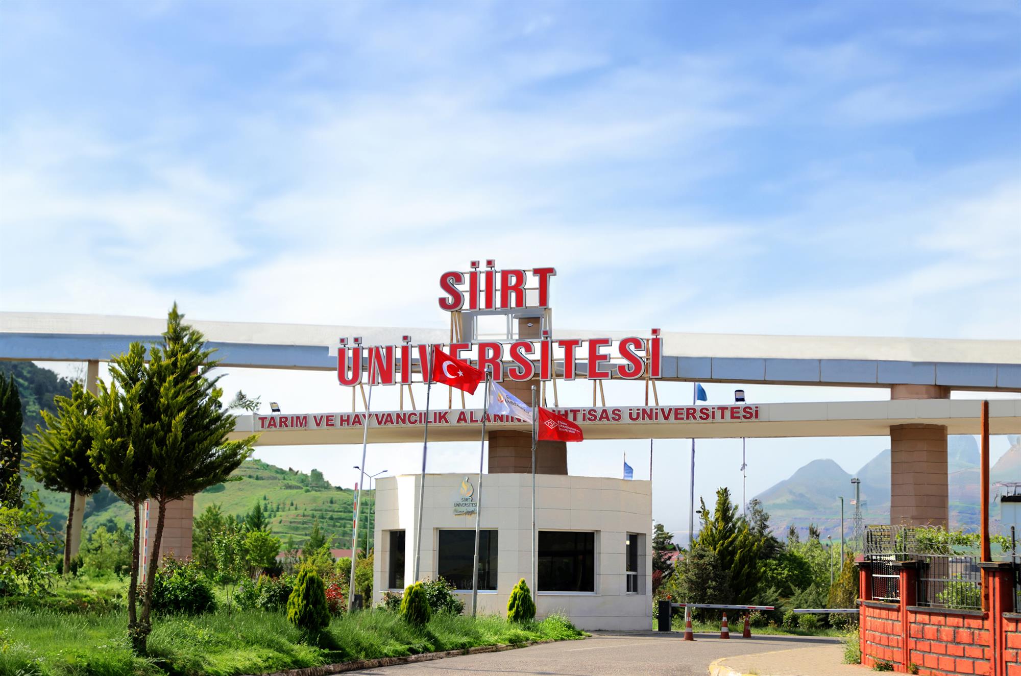 Halk Oyunları Ekibimiz Stilize Dalda Türkiye Şampiyonu Oldu